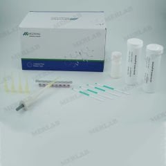 AnticFast® BT Combo Antibiyotik Test Kiti
