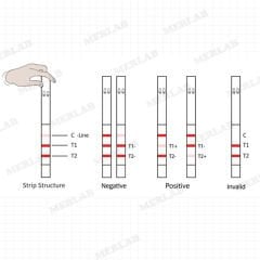 AnticFast® BT Combo Antibiyotik Test Kiti