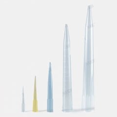 ISOLAB Ekonomik Kalite Pipet Uçları