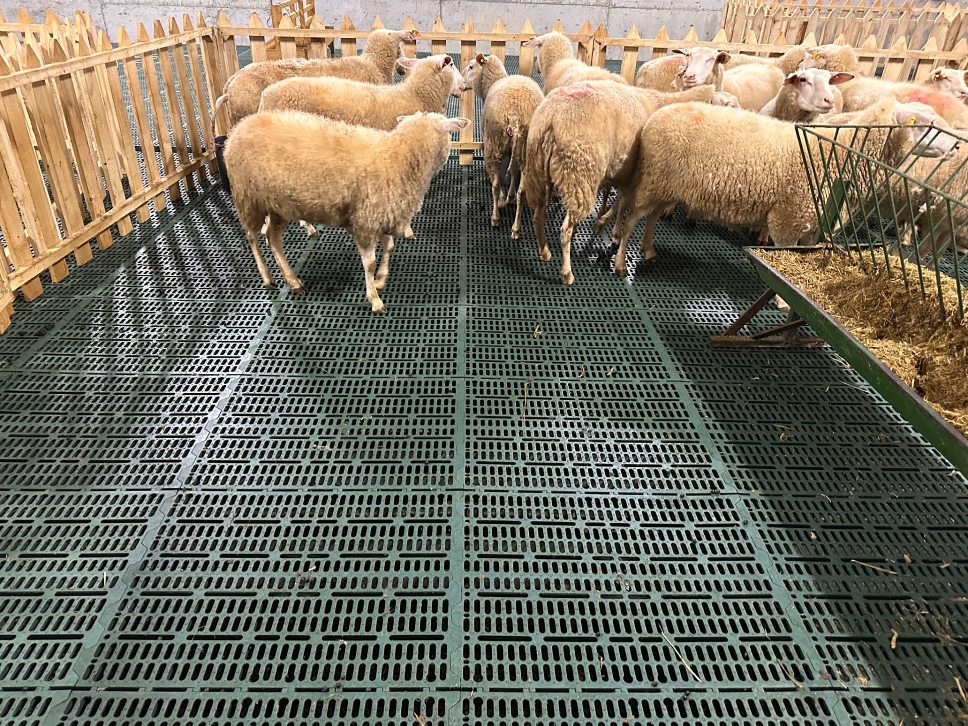 PLASTİK HAYVAN ALTLIĞI - IZGARA 80,5 X 60,5 (ALTLIK)