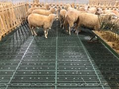 PLASTİK HAYVAN ALTLIĞI - IZGARA 80,5 X 60,5 (ALTLIK)