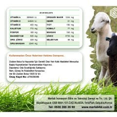 Zooben Küçükbaş Bolus Mineral ve Vitamin Destek Takviyesi