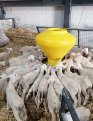 Küçükbaş Otomatik Plastik Yemlik - 100 kg Kapasiteli